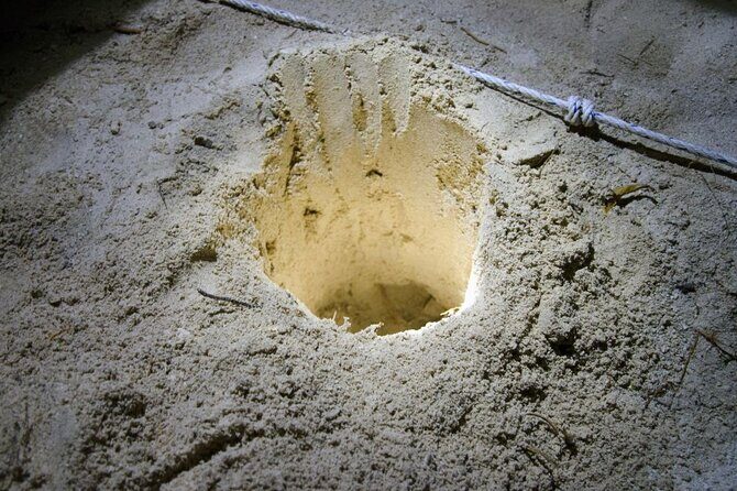 From Sandakan: 2D1N Turtle Island & Sepilok Wildlife Experience - Final Thoughts