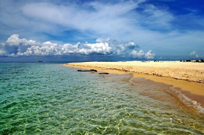 From Sandakan 2D1N Turtle Island Tour - Why This Tour Is a Good Value