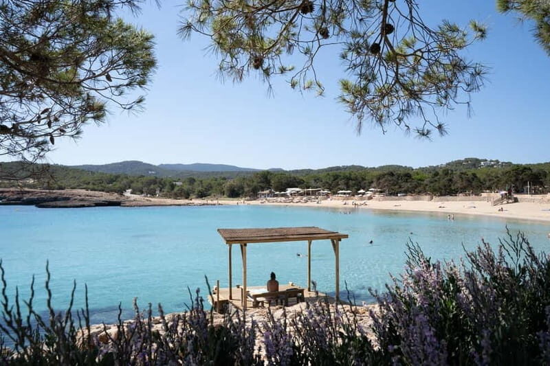 From Sant Antoni: round trip by boat to Cala Conta or Cala Bassa - Why This Tour Might Be the Right Choice for You