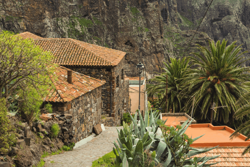 from-santa-cruz-de-tenerife-masca-garachico-private-trip