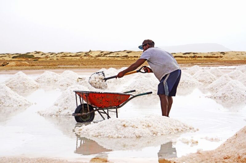 From Santa Maria: Sal Island Private Day Trip - Who Will Love This Tour?