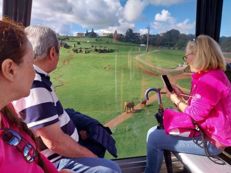 from-santander-cabarceno-natural-park-half-day-trip