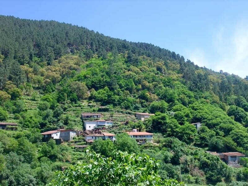 From Santiago: Ribeira Sacra & Sil River Canyon Boat Tour - FAQ