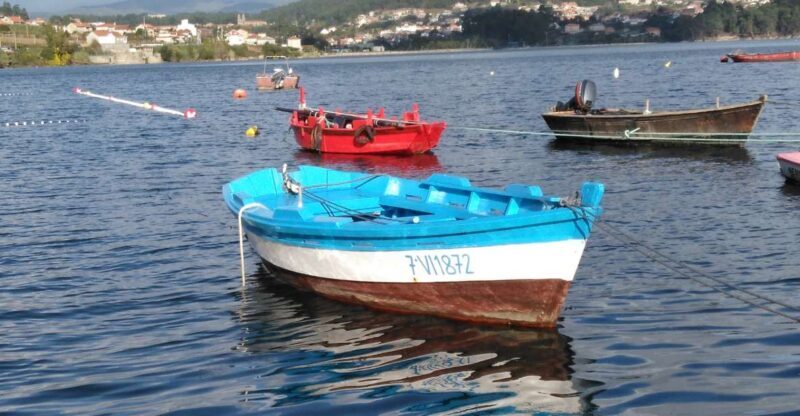 From Santiago: Tour Rias Baixas, Isla de Arousa y Combarro - What to Expect on Your Galician Day Trip