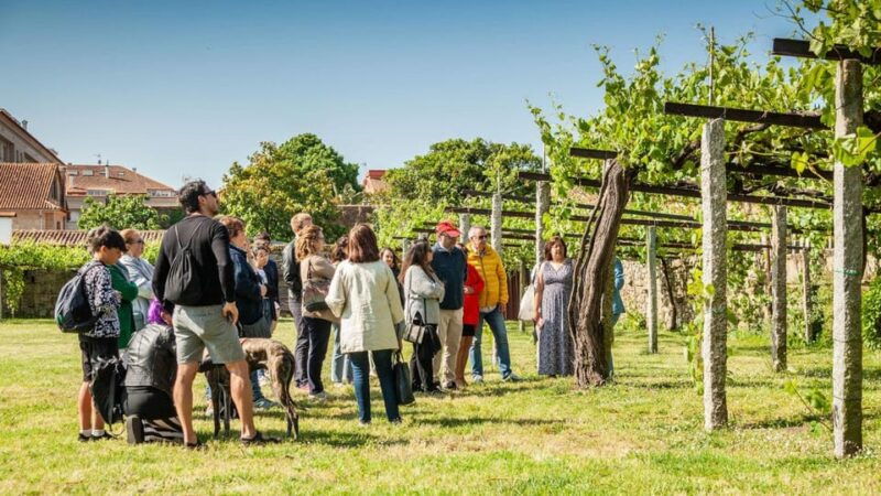 from-santiago-tour-to-rias-baixas-with-boat-trip-and-winery