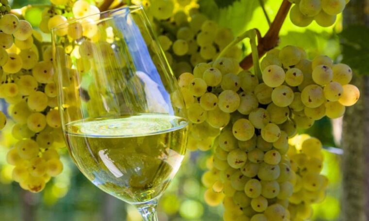 from-santiago-tour-to-rias-baixas-with-boat-trip-and-winery