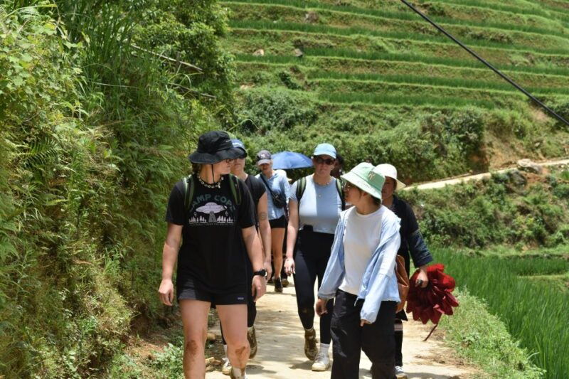 from-sapa-1-day-trekking-through-terraces-rice-fields