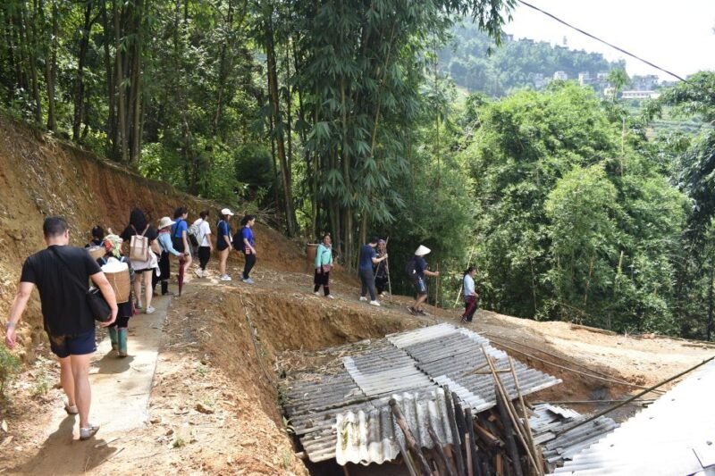 from-sapa-1-day-trekking-through-terraces-rice-fields