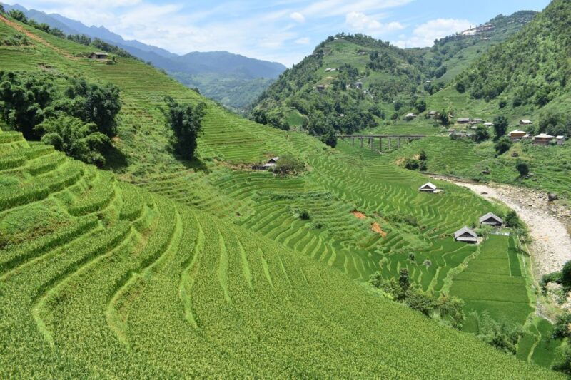 from-sapa-1-day-trekking-through-terraces-rice-fields