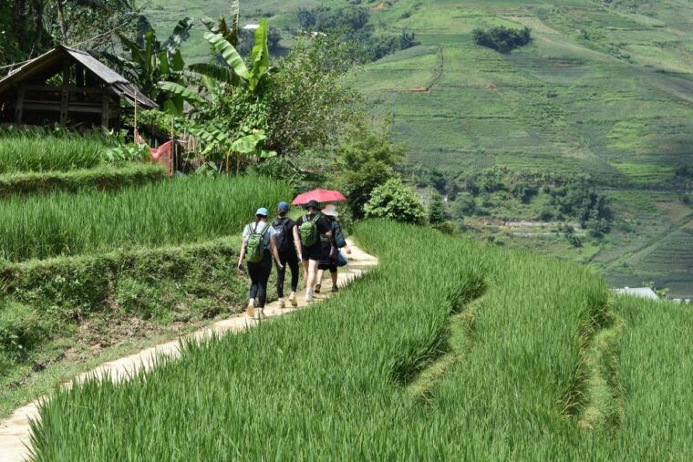 from-sapa-1-day-trekking-through-terraces-rice-fields