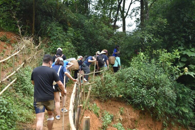 from-sapa-1-day-trekking-through-terraces-rice-fields