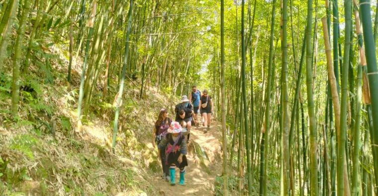 from-sapa-2-day-sapa-trekking-trip-with-homestay-meals