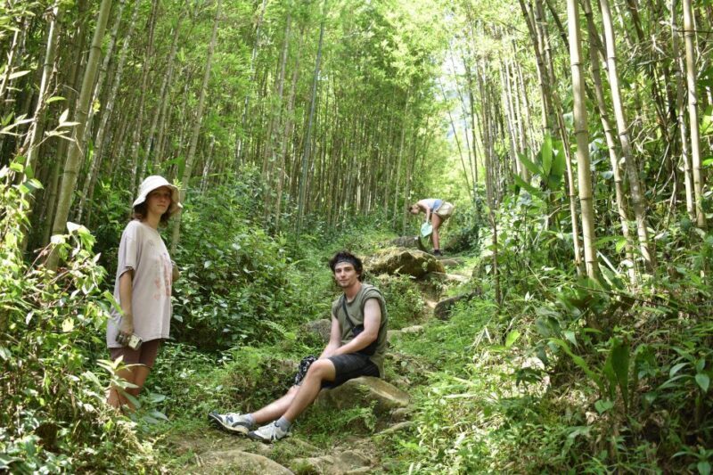 From Sapa: 2D1N Sapa Trekking Tour with Local Expert - Key Points