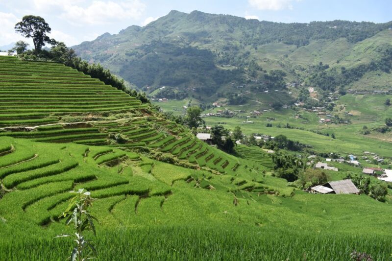 From Sapa: 2D1N Sapa Trekking Tour with Local Expert - Second Day: Cultural and Natural Highlights