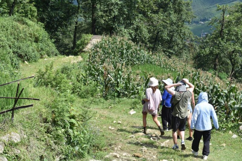 From Sapa: 2D1N Sapa Trekking Tour with Local Expert - What’s Included & Practical Aspects