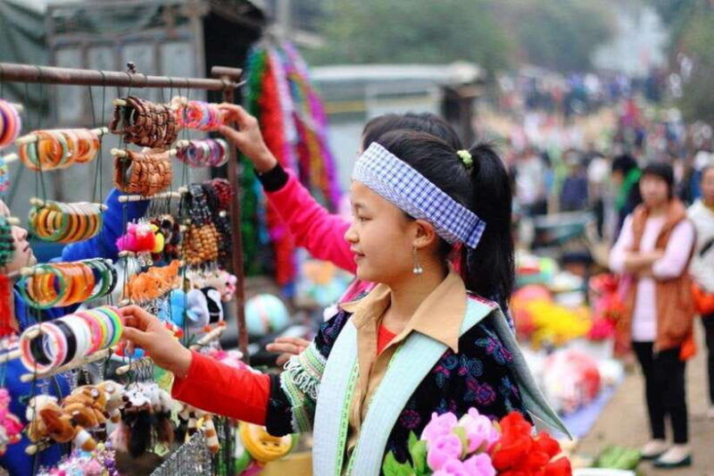 from-sapa-bac-ha-sunday-market-and-ethnic-villages-tour