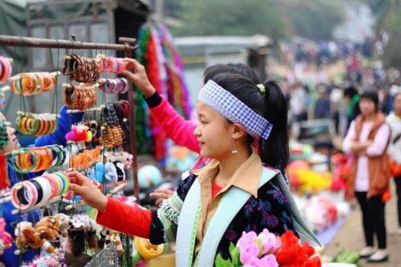 from-sapa-bac-ha-sunday-market-and-ethnic-villages-tour