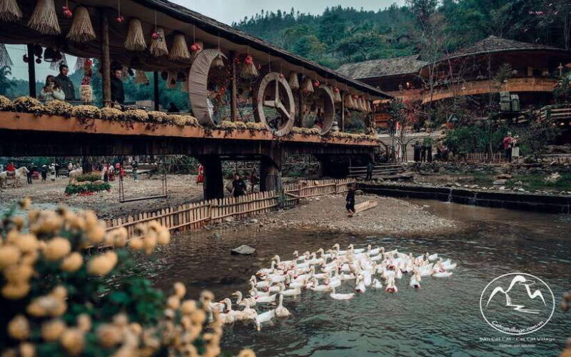 from-sapa-cat-cat-sin-chai-villages-private-trekking-tour
