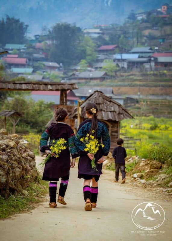 from-sapa-cat-cat-sin-chai-villages-private-trekking-tour