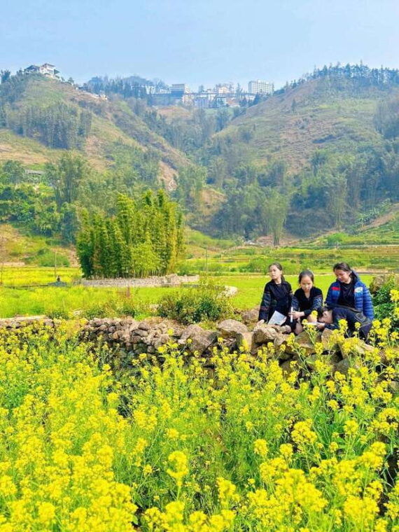 from-sapa-cat-cat-sin-chai-villages-private-trekking-tour