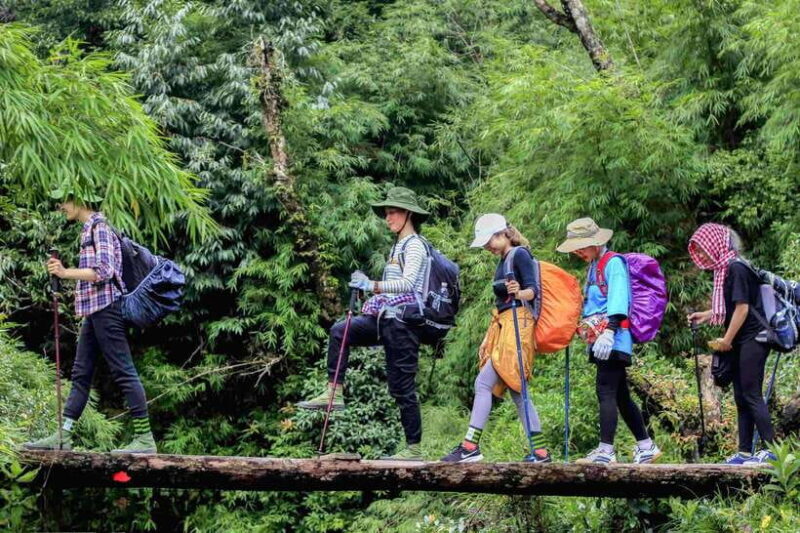 From Sapa: Fansipang Mountain Hike 1 Day - Key Points