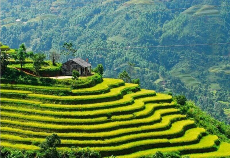 From Sapa: Full-Day Trekking Tour Lao Chai & Ta Van Villages - Who Should Consider This Tour?