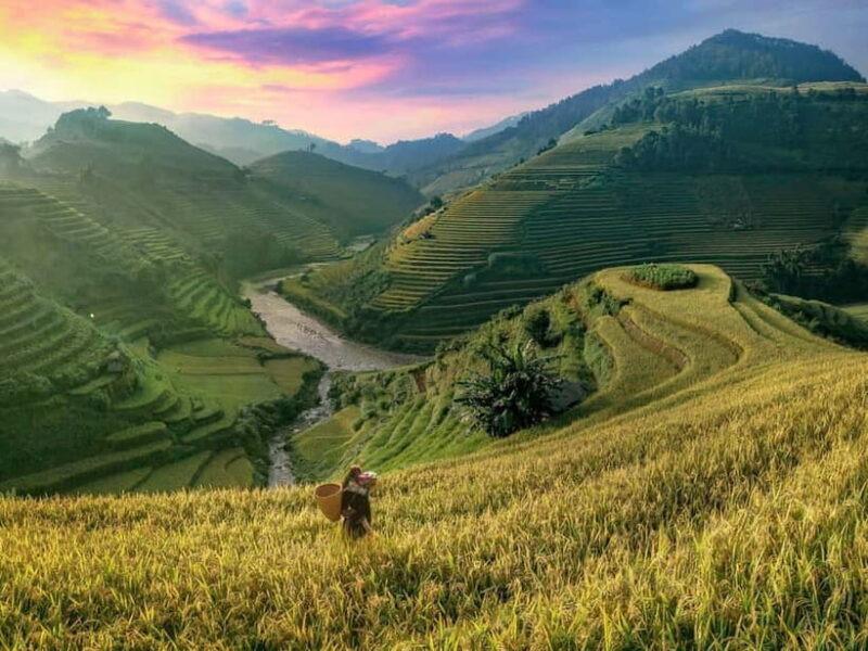 From Sapa Homestay Hideaway 2-Day Local Life Adventure - Exploring the Itinerary: What to Expect on This 2-Day Adventure