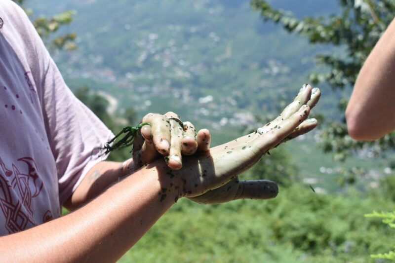 from-sapa-muong-hoa-valley-view-village-trek-1-day