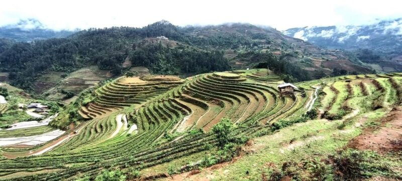 from-sapa-suoi-ho-lu-khau-and-xa-xeng-villages-1-day-trek