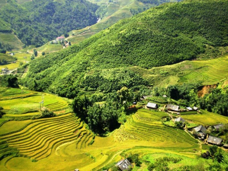 From Sapa: Terrace Fields and Local Villages Trek with Lunch - Who Will Love This Trek?