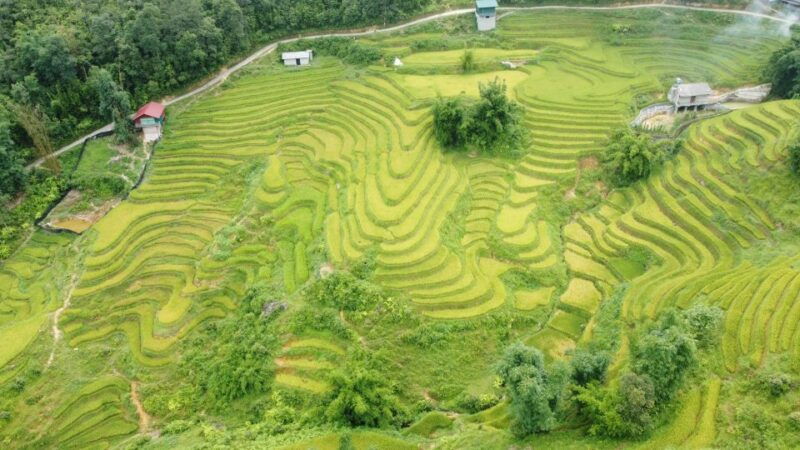 from-sapa-terrace-fields-and-local-villages-trek-with-lunch