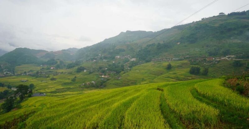 From Sapa to Y Linh Ho/Lao Chai/Ta Van/Ban Ho by Motorbike - An Honest Dive into the Motorbike Tour Experience