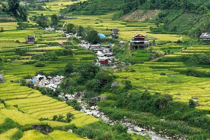 From Sapa: Trek through Stunning Rice Terraces, Ethnic Villages - Who Will Appreciate This Tour?