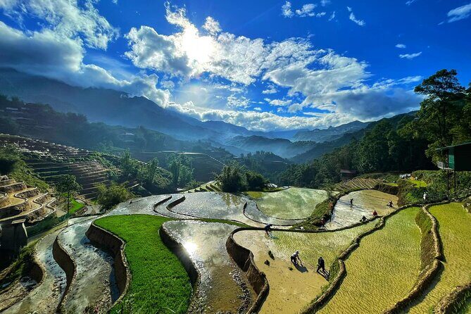 From Sapa: Trek through Stunning Rice Terraces, Ethnic Villages - References
