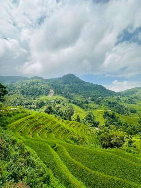 from-sapa-trekking-1-day-y-linh-ho-lao-chai-ta-van