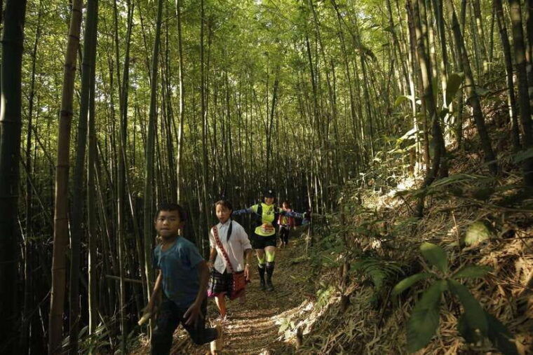 from-sapa-trekking-1-day-y-linh-ho-lao-chai-ta-van