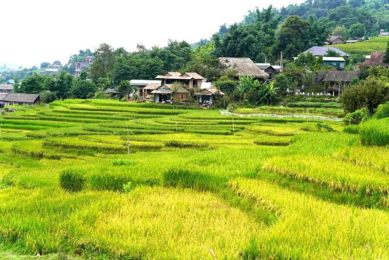 From Sapa Visit Lao Chai/Ta Van/Giang Ta Chai Sleep Homestay - Who Should Sign Up?
