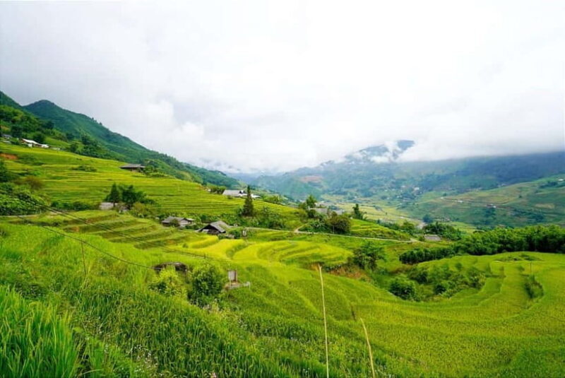 From Sapa Visit Lao Chai/Ta Van/Giang Ta Chai Sleep Homestay - Final Thoughts