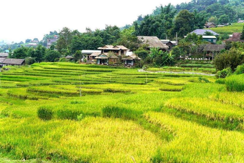 from-sapa-visit-lao-chai-ta-van-giang-ta-chai-sleep-homestay