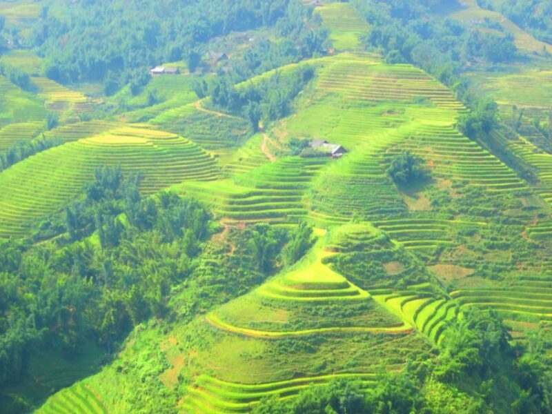 From Sapa: Waterfalls, Trekking and Tribal Villages Tour - Overview of What to Expect