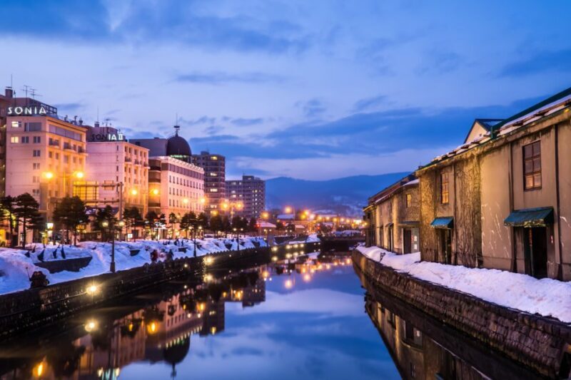 From Sapporo: 10-hour Customized Private Tour to Otaru - Who Is This Tour Best For?