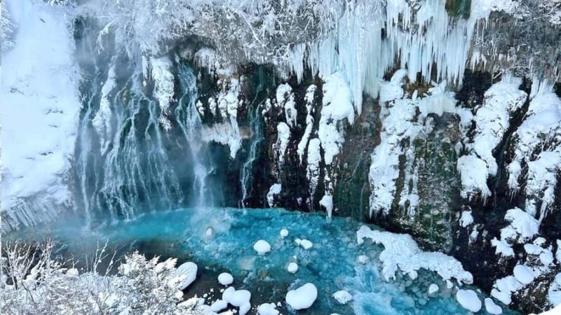 From Sapporo: Asahiyama Zoo, Waterfall & Blue Pond Tour - Exploring the Itinerary in Detail