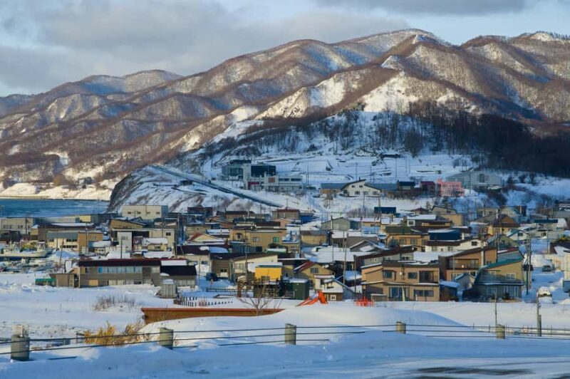 From Sapporo: Biei, Furano or Asahikawa Private Day Trip - Key Points