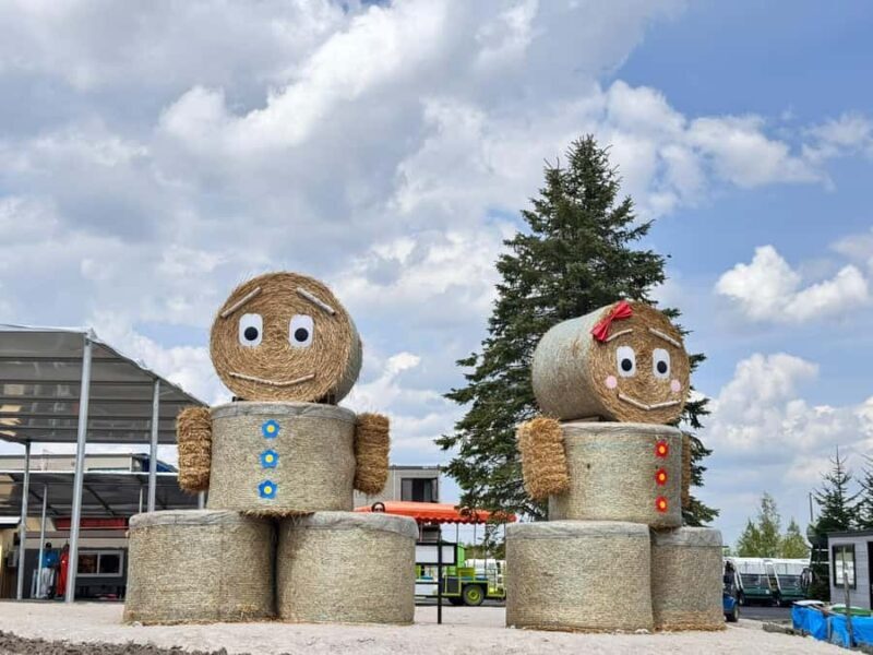 From Sapporo: Biei, Furano or Asahikawa Private Day Trip - Potential Drawbacks or Considerations