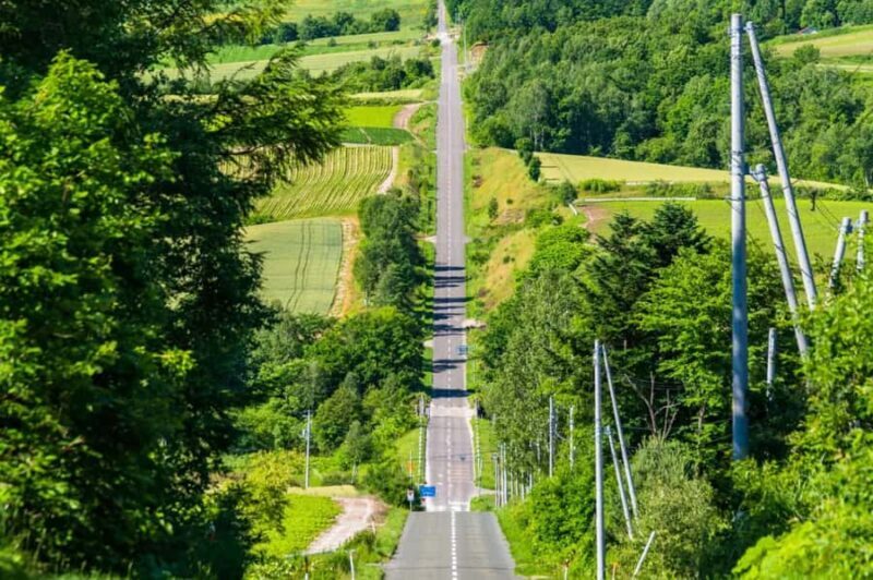 From Sapporo: Biei, Furano or Asahikawa Private Day Trip - Who Will Love This Tour?