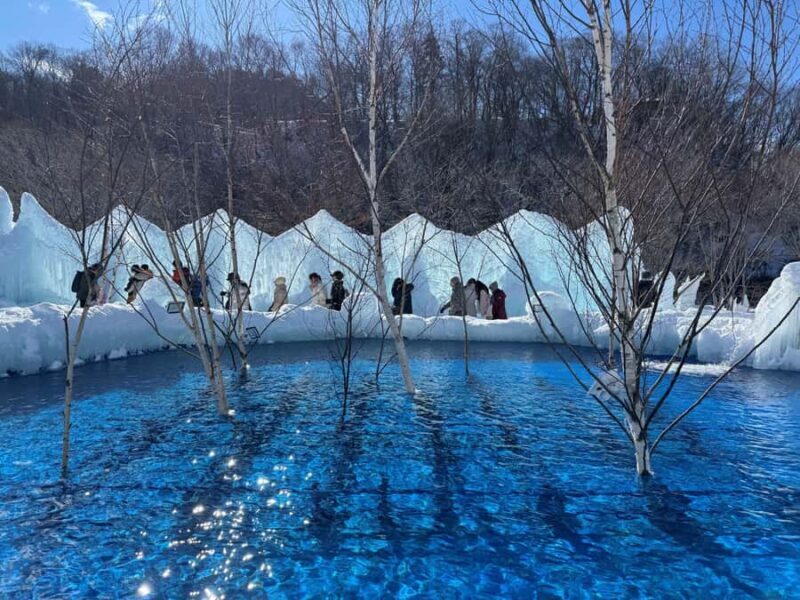 From Sapporo: Lake Shikotsu Ice Festival & Illumination Tour - Final Thoughts