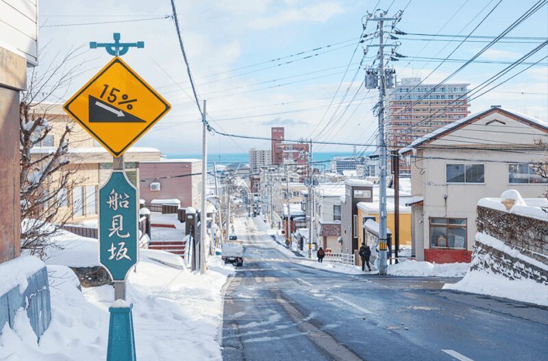 From Sapporo: Private Customized Day Tour to Otaru - Key Points