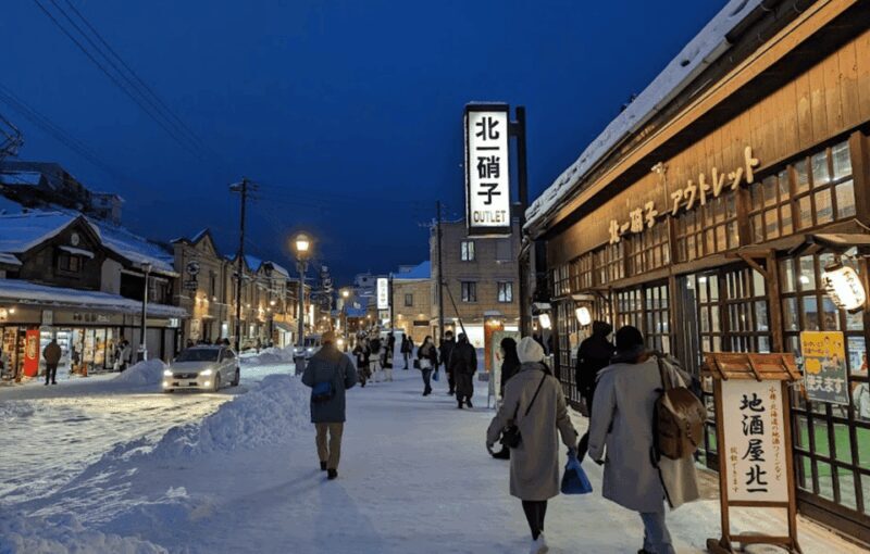 From Sapporo: Private Customized Day Tour to Otaru - Who Is This Tour Best For?