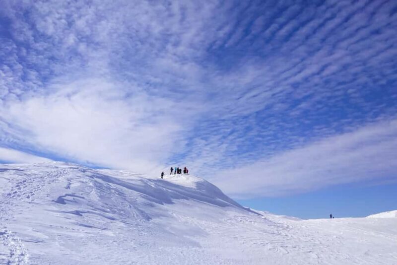 From Sarajevo: Mount Jahorina Snowshoeing Tour - Detailed Breakdown of the Itinerary