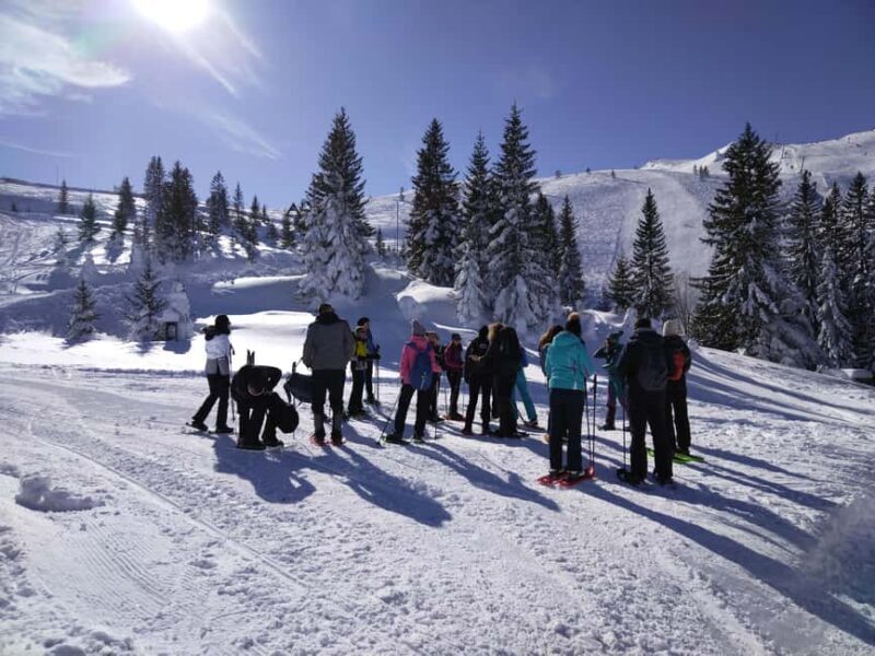 From Sarajevo: Mount Jahorina Snowshoeing Tour - The Sum Up: Who Should Consider This Tour?
